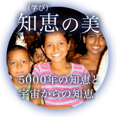 環境、教育、健康事業から人類の未来を考える | 吉田統合研究所